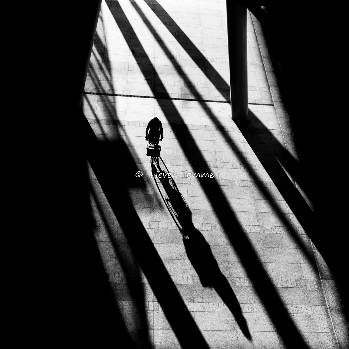 Cyclist among shadows lines