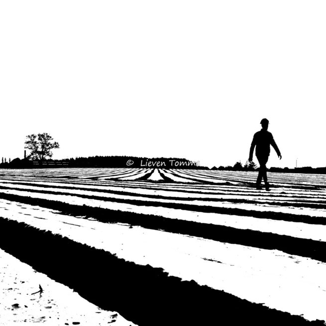 Farmer on his fields