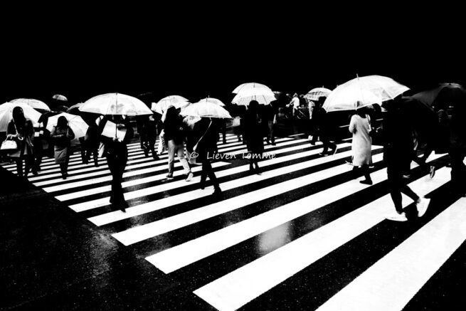 Abstract view of a crosswalk